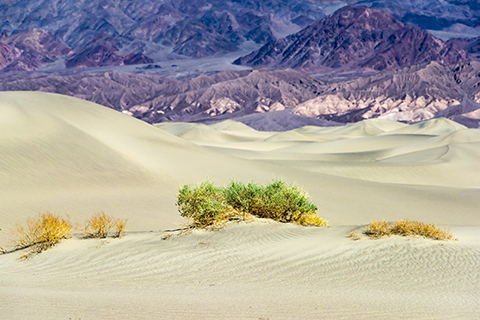 death-valley-february-2016_130